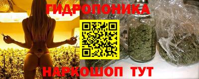 не бодяженный Владимир