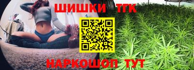 прущие грибы Брянск