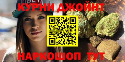 прущие грибы Брянск