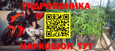 прущие грибы Брянск
