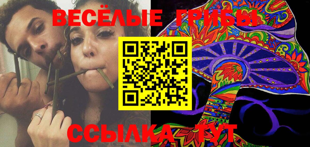 Сызрань  Галлюциногенные грибы Psilocybe  Вход с VPN 